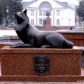 Пантелеев В. «Волк», бронза, установлен в Волковыске, 2005 г.